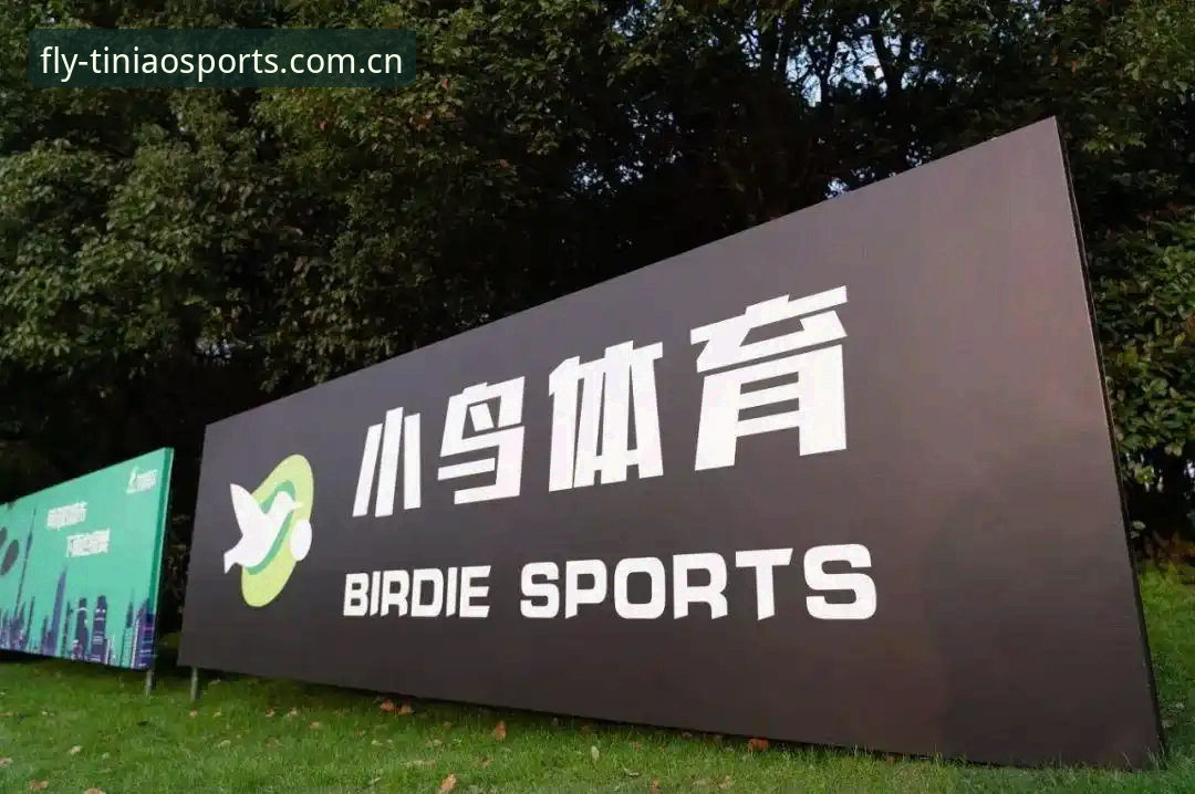 小鸟体育苹果版安卓版下载安装全攻略：专业体育服务G7K3的革新体验详解
